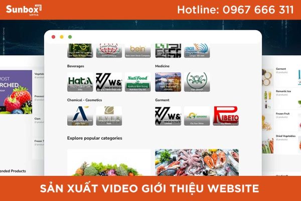 sản xuất video giới thiệu Website, video giới thiệu website, dịch vụ sản xuất video, dịch vụ edit video